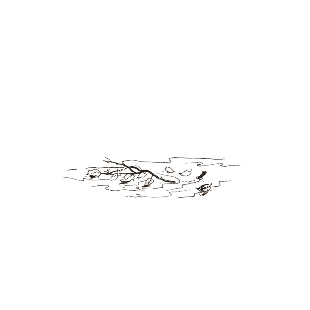 image 30