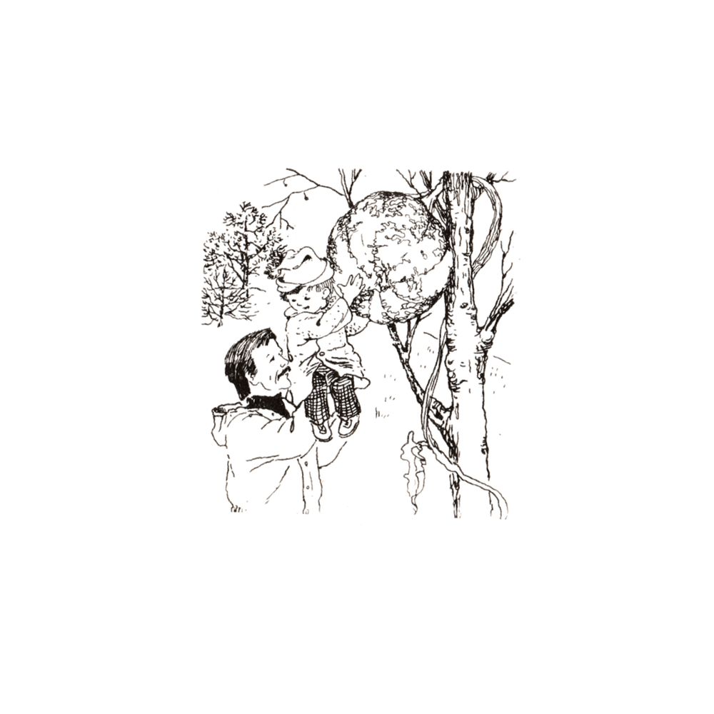 image 31