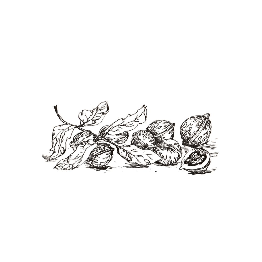 image 32