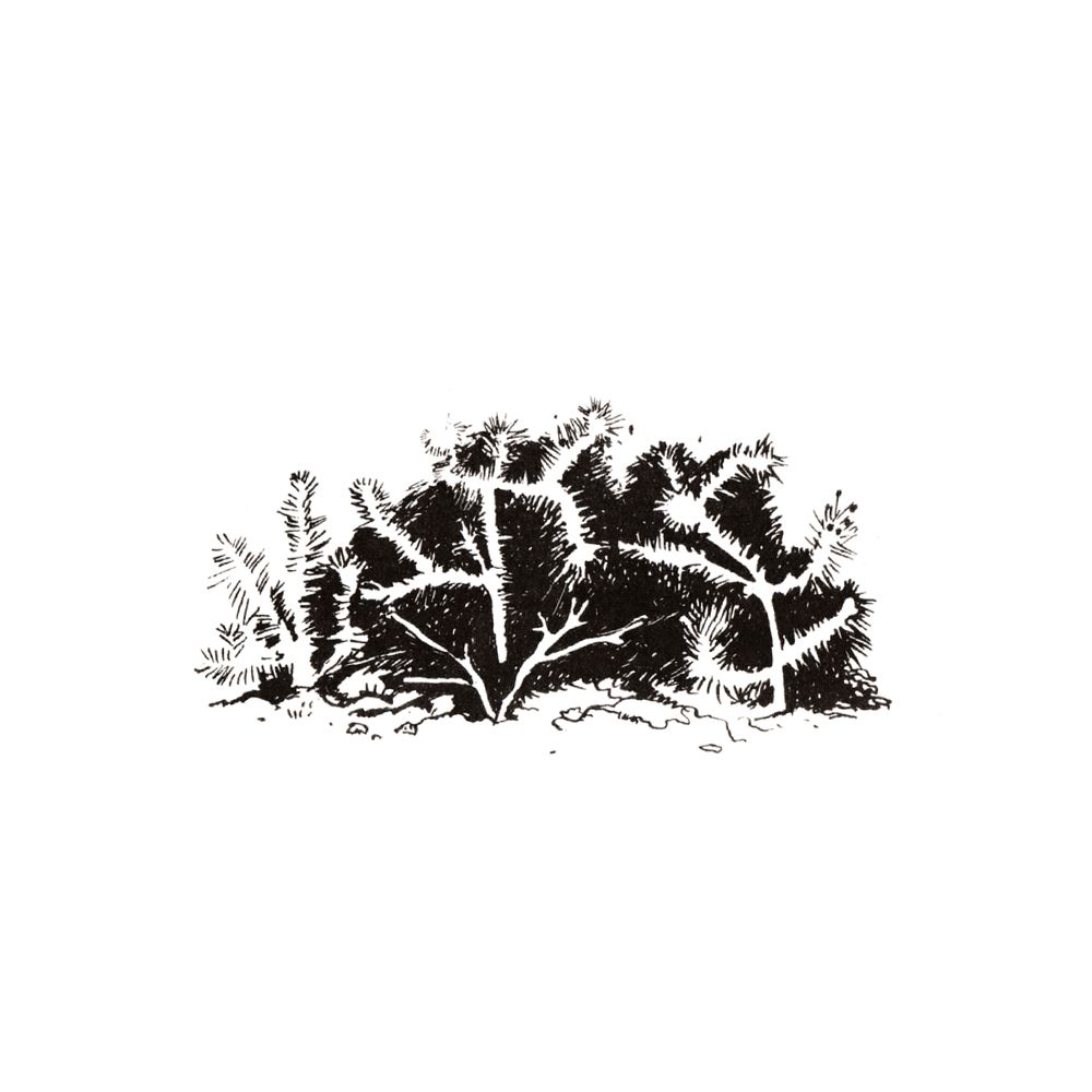 image 33