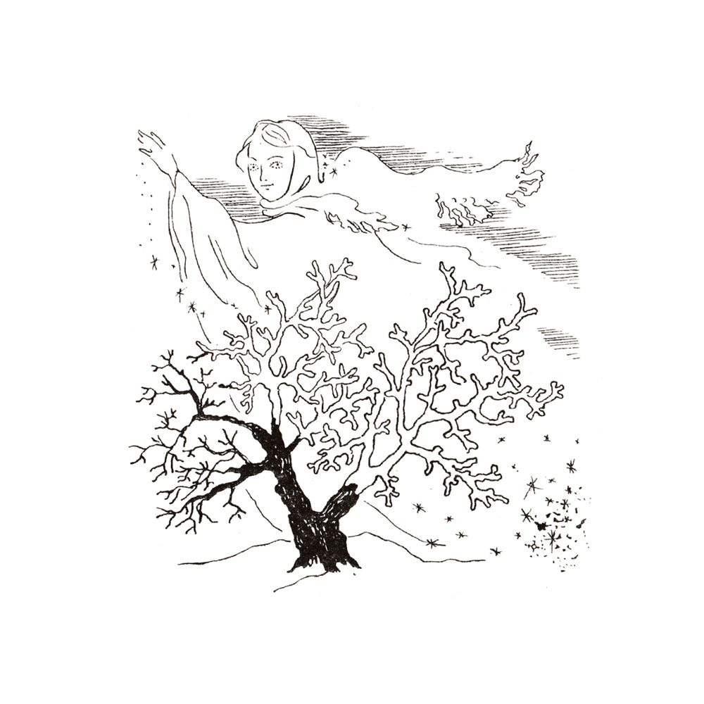 image 34