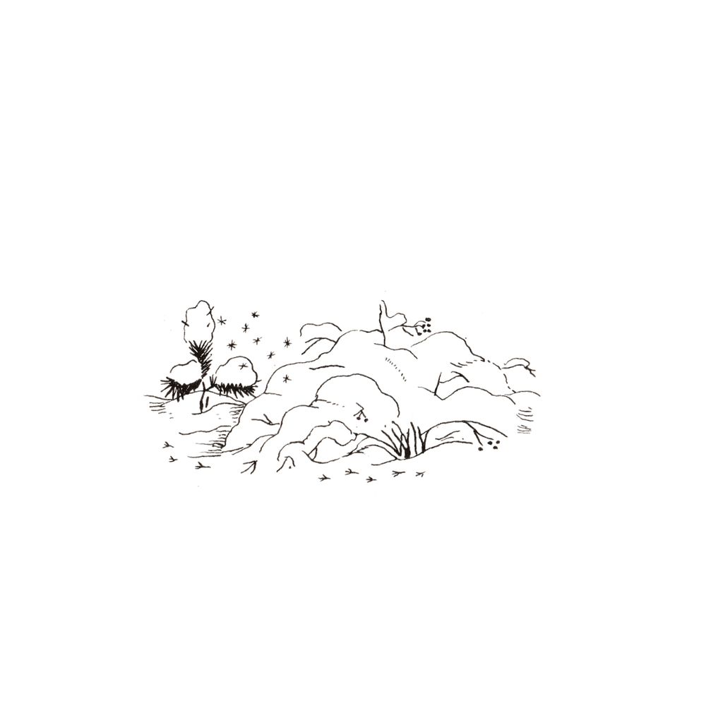 image 36