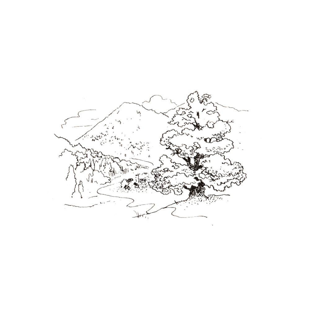 image 37