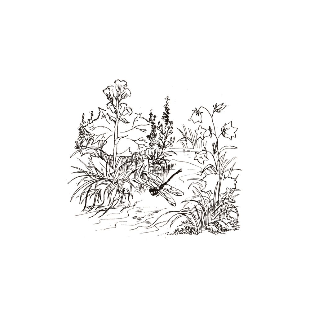 image 39