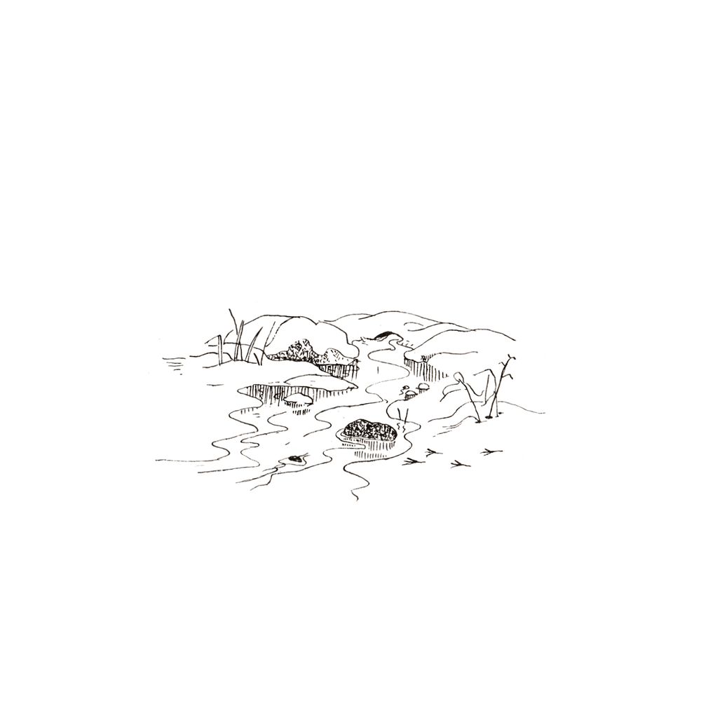 image 40