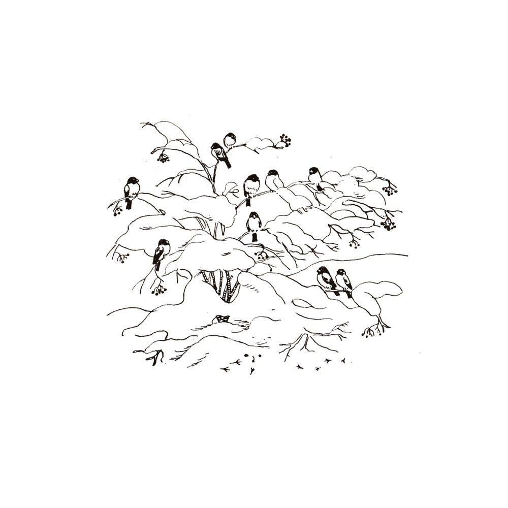 image 41