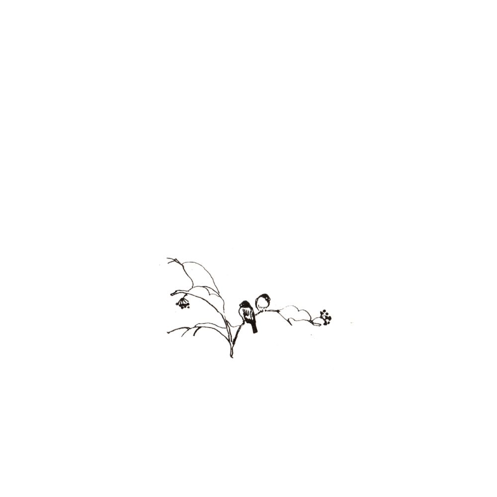 image 42