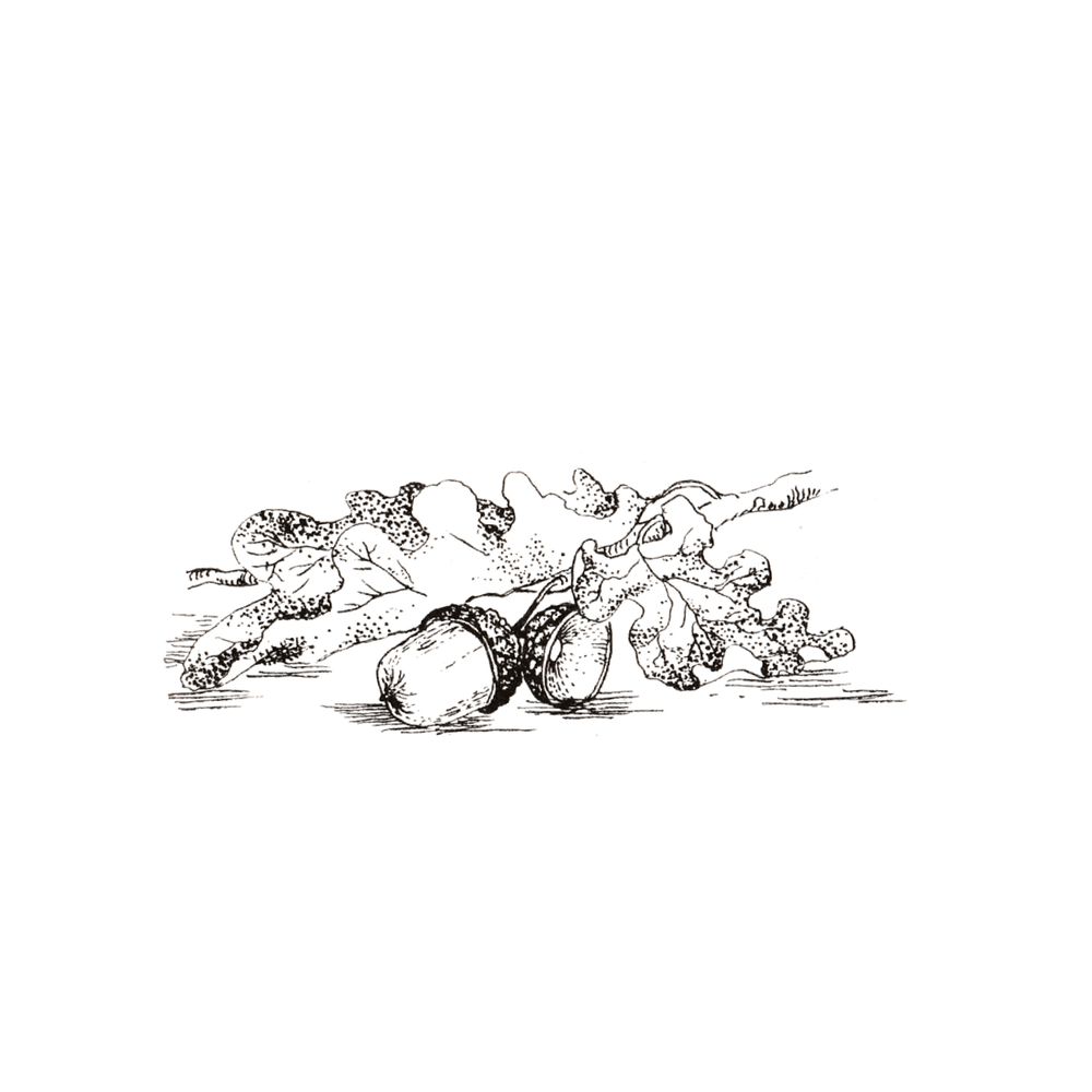 image 43
