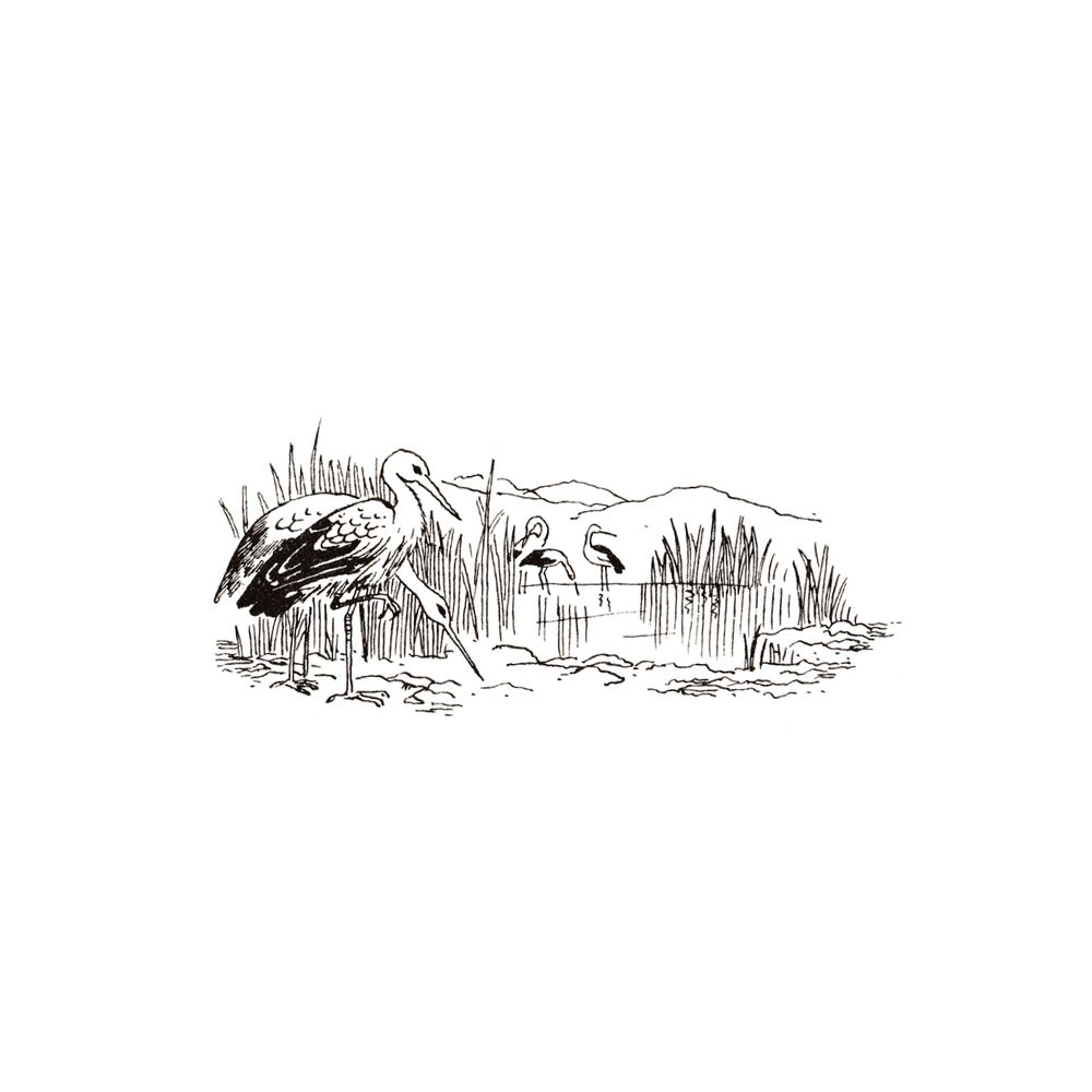image 44