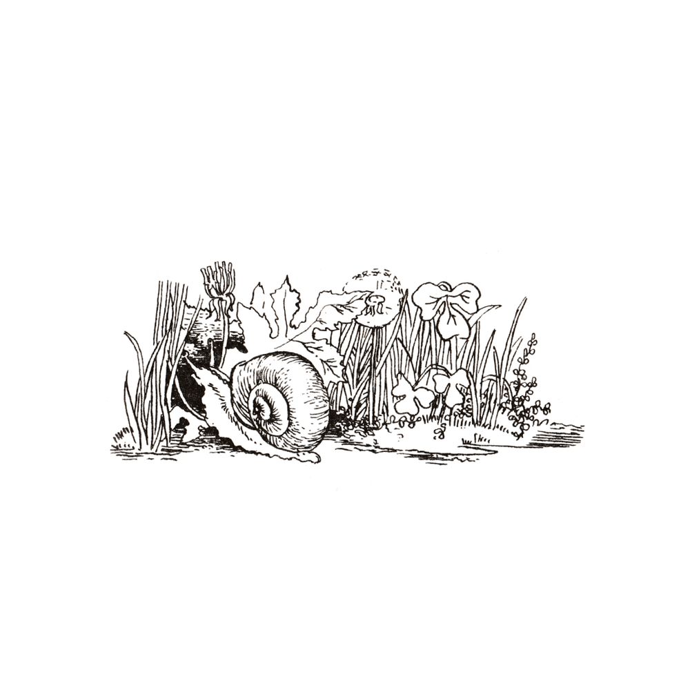 image 45