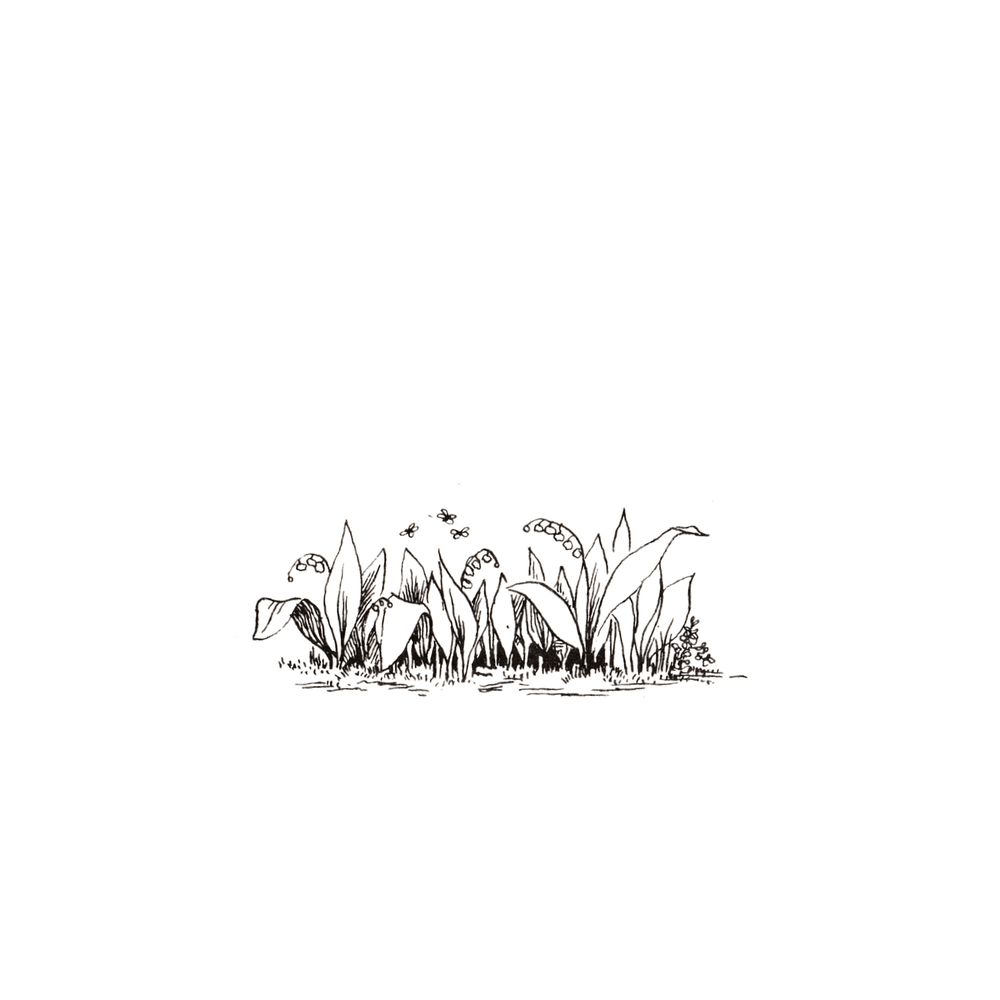 image 47