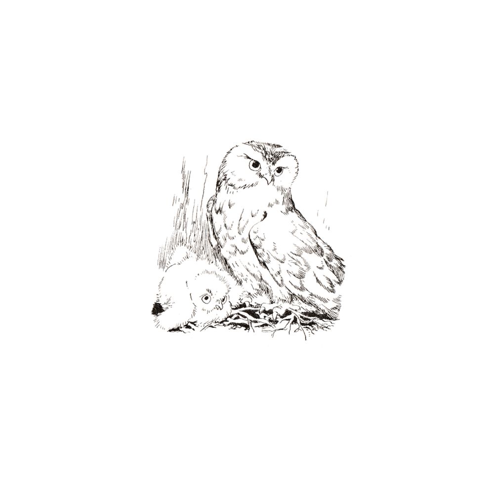 image 48