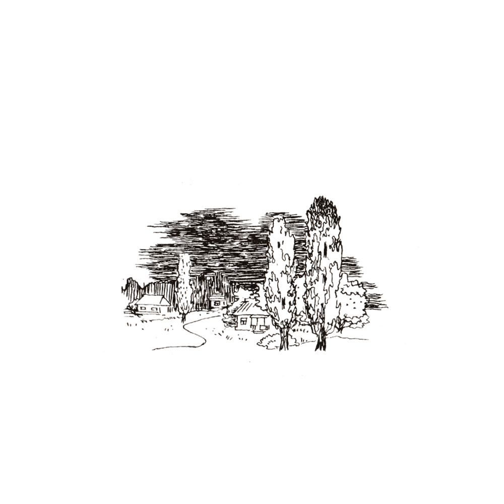 image 49