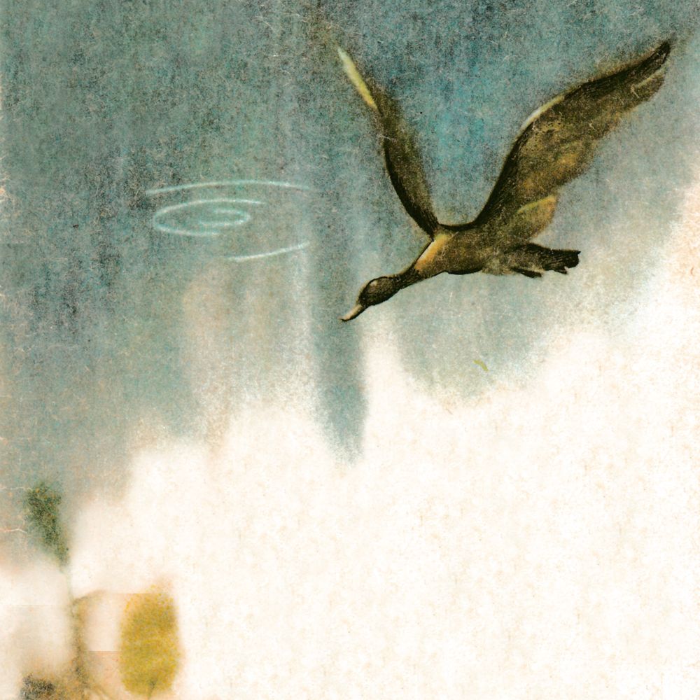 image 52