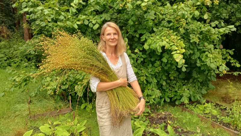 Let's Grow Flax - About us