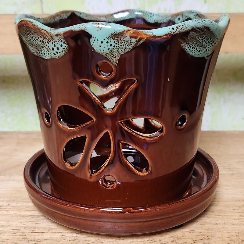 Orchid Pottery for Beautiful and Healthy Orchid Plants