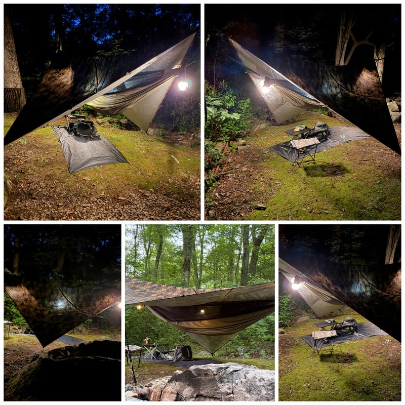 Hanging Out in nature