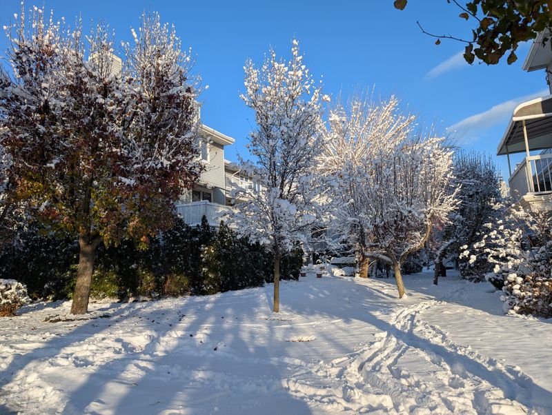 A Quiet White Pause: Post-Christmas Snow in NYC