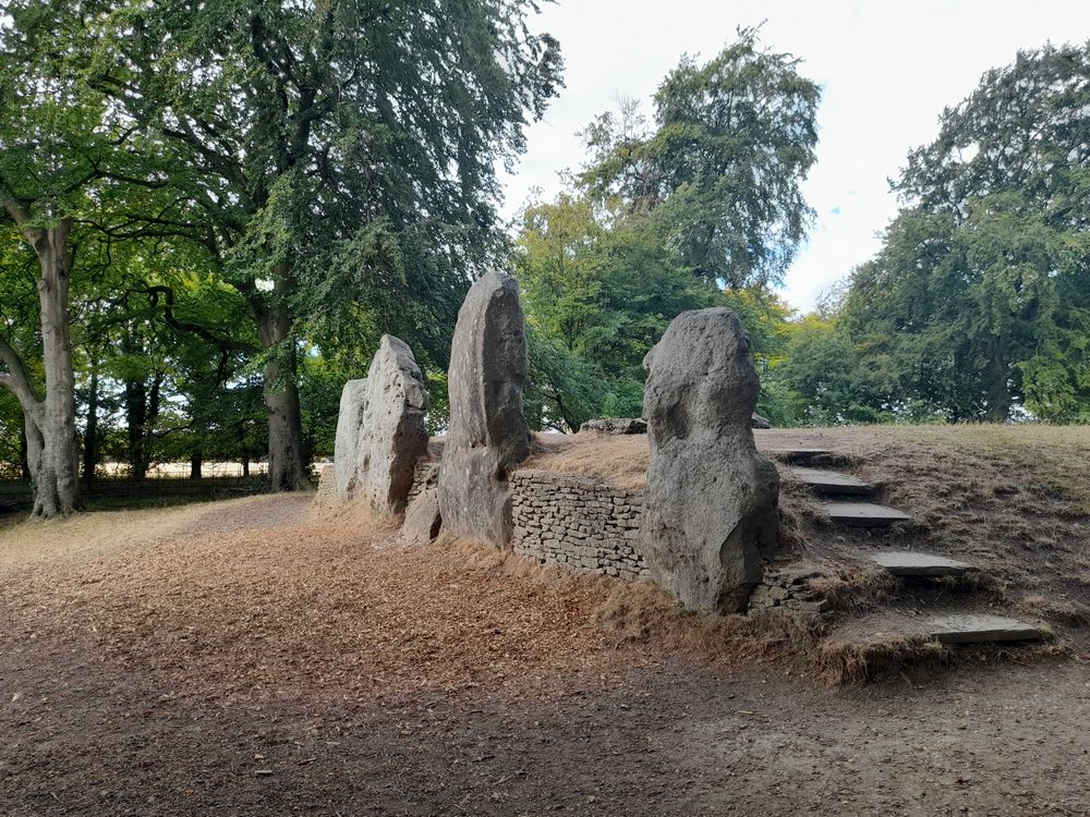 image 14