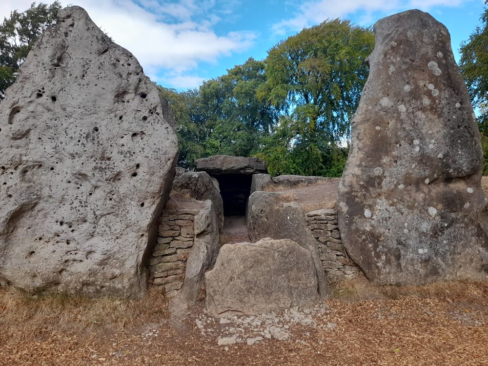image 15