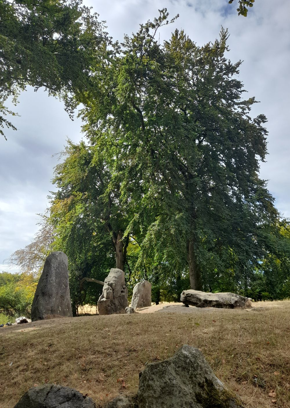 image 22