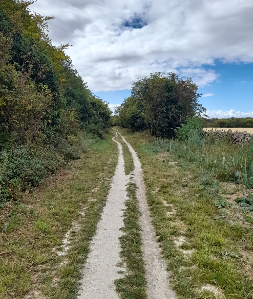 image 23
