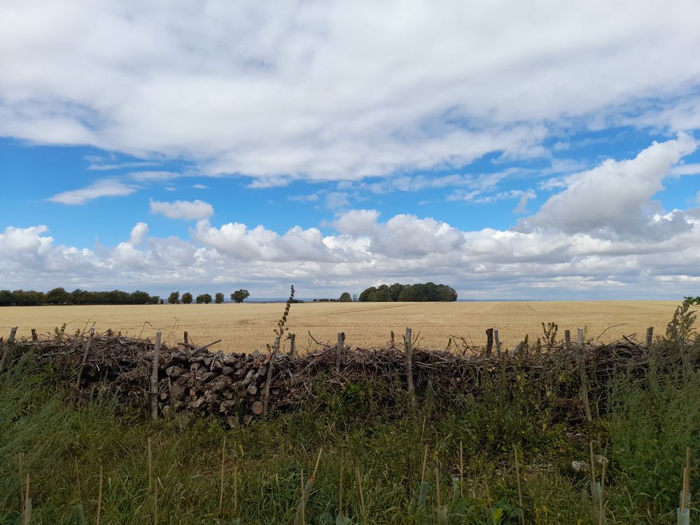 image 24