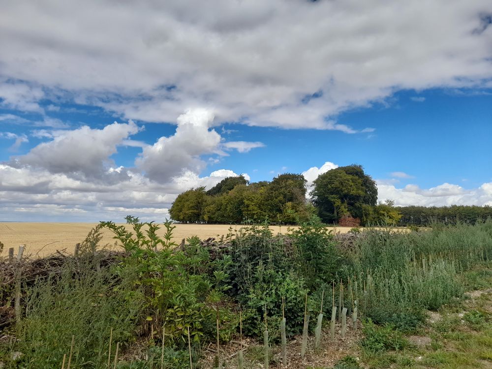 image 25