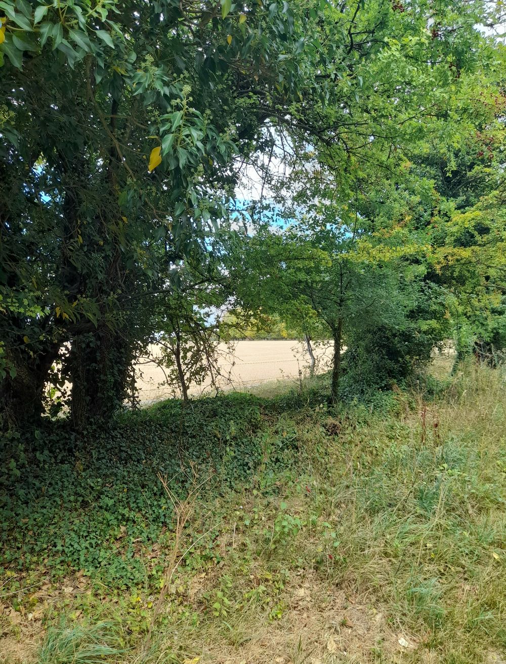 image 31