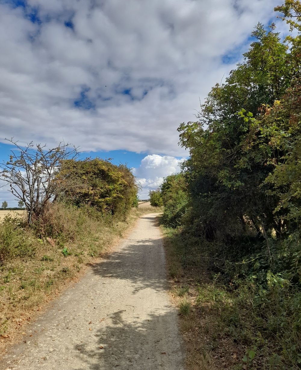 image 33