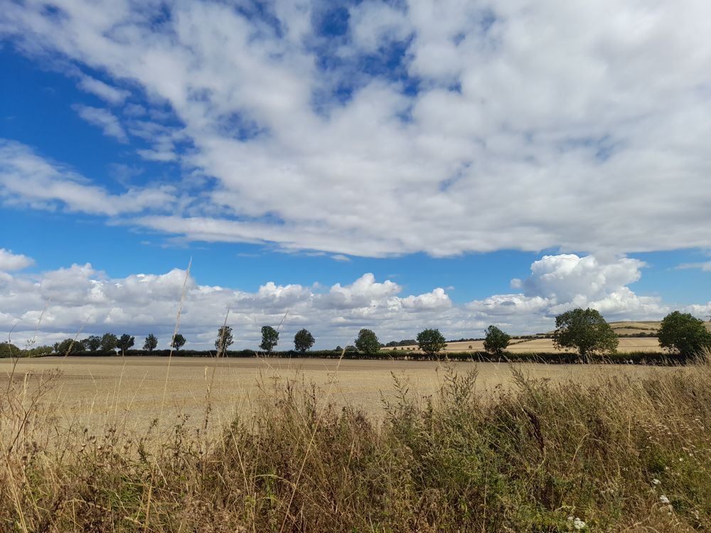image 34