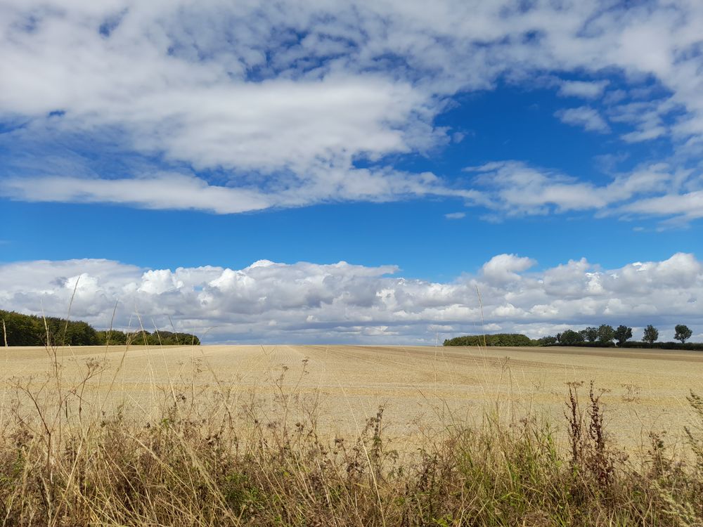 image 35