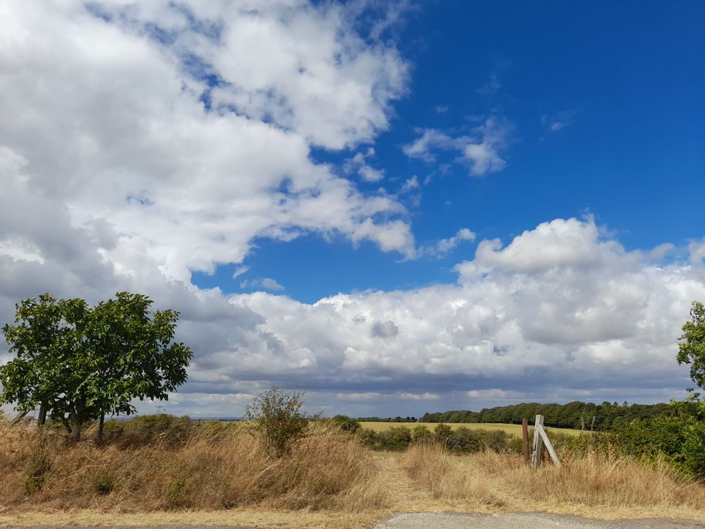 image 37