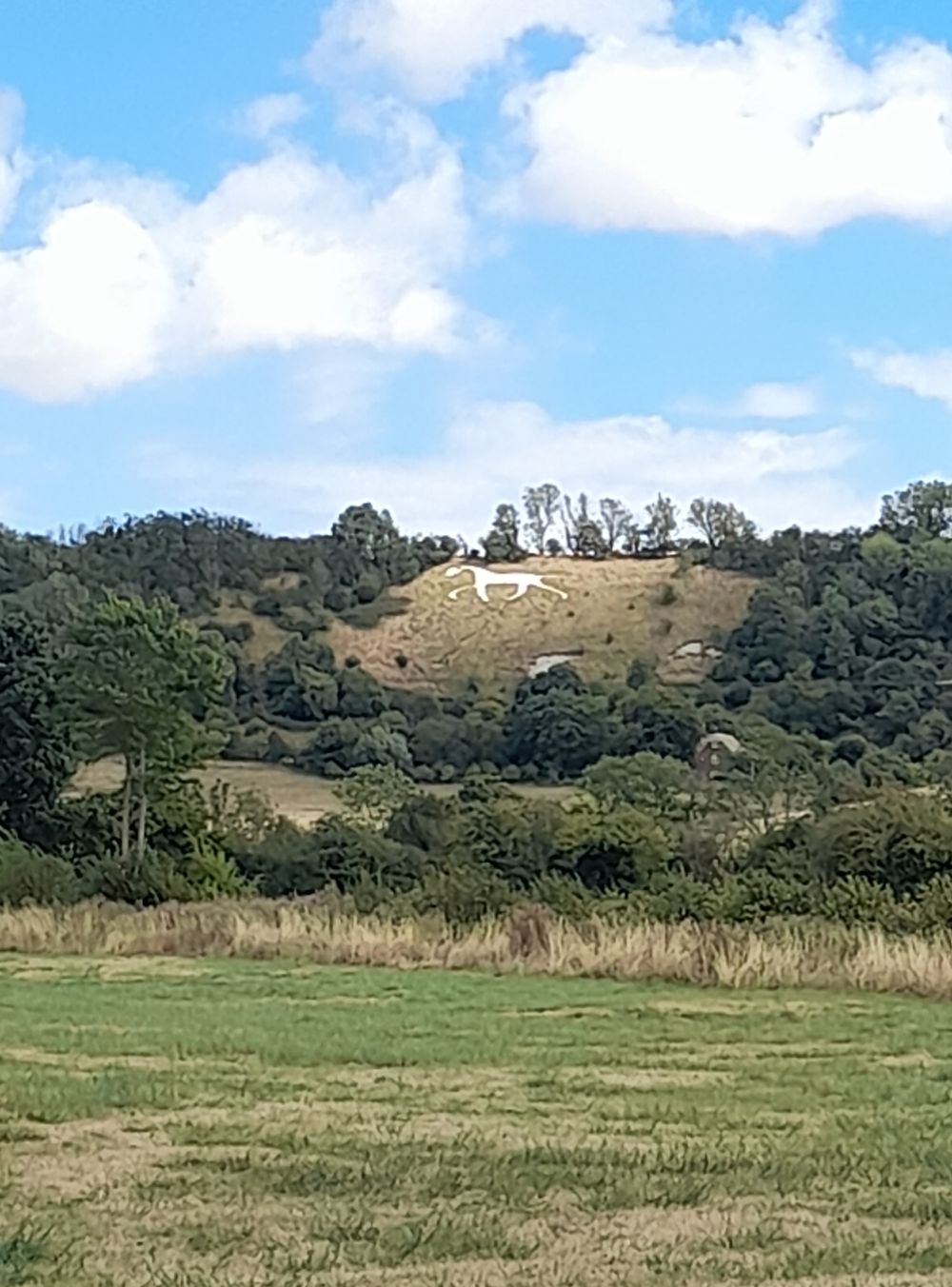 image 38