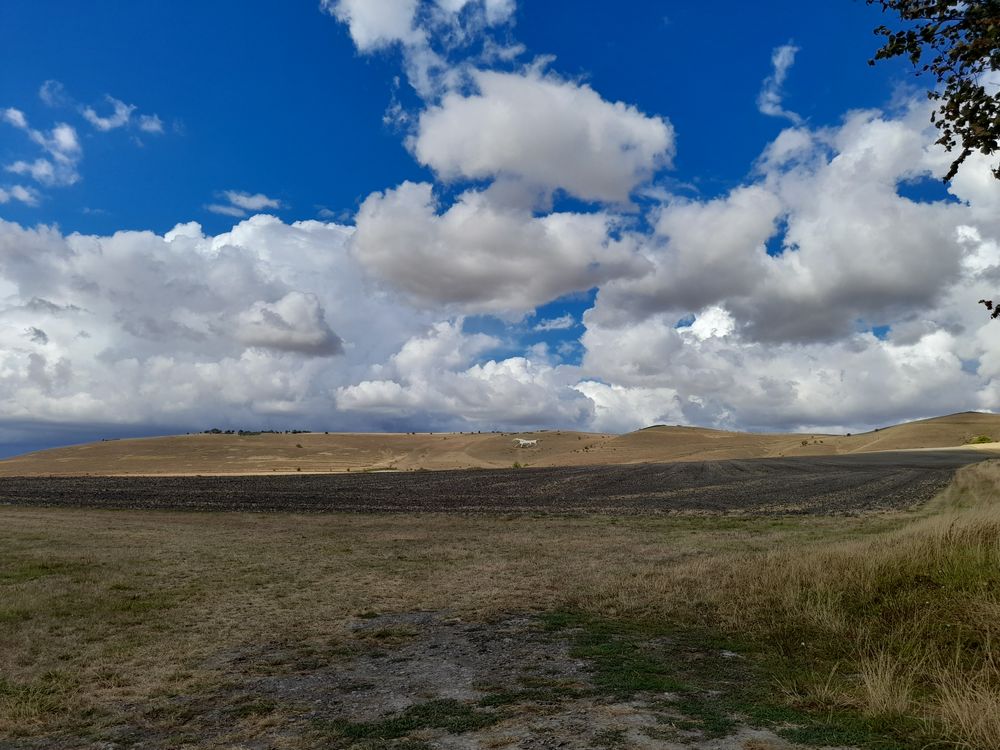 image 53