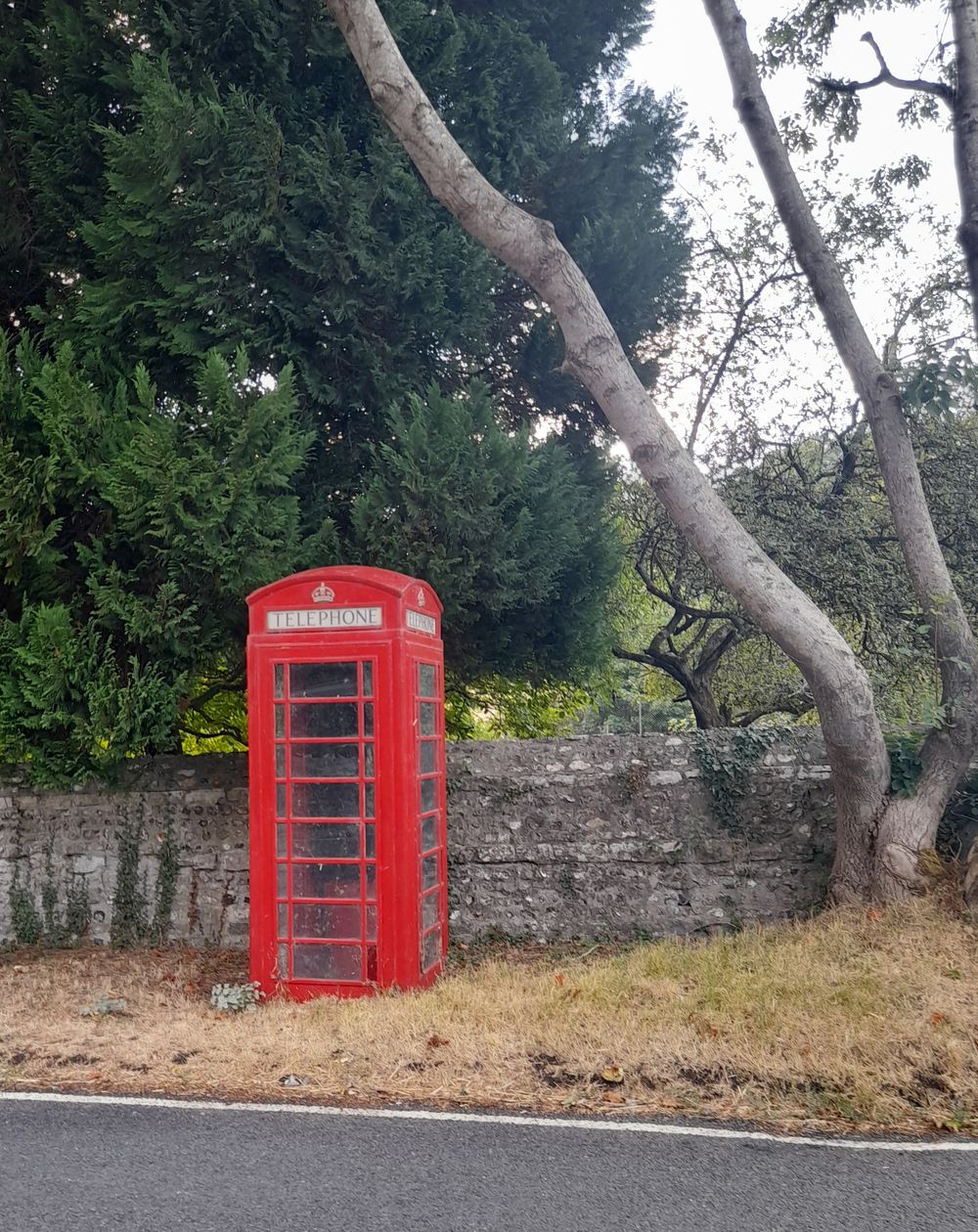 image 67