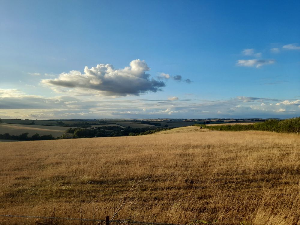 image 68