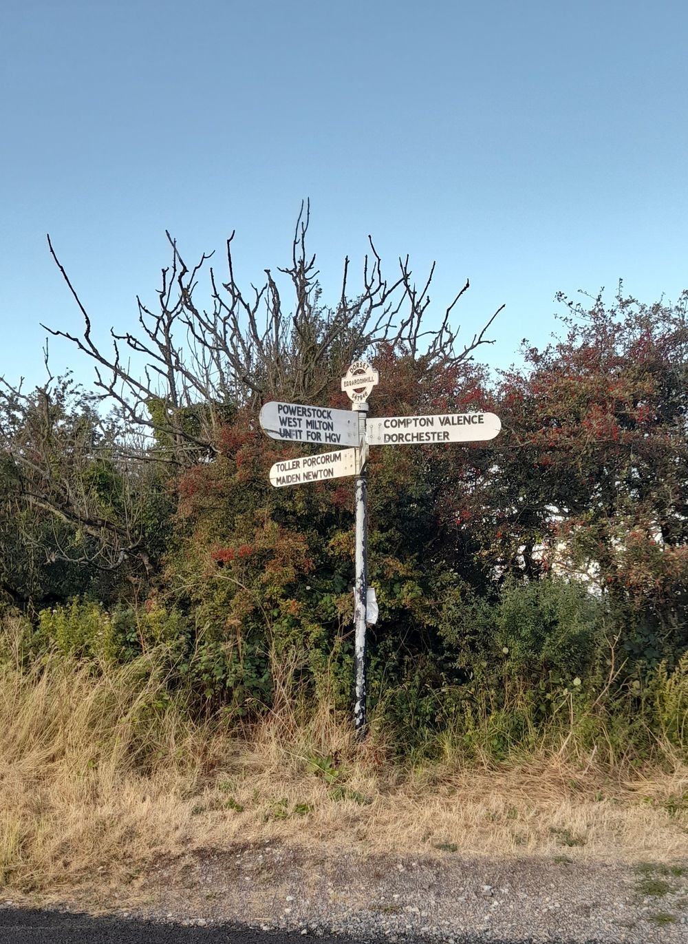 image 70