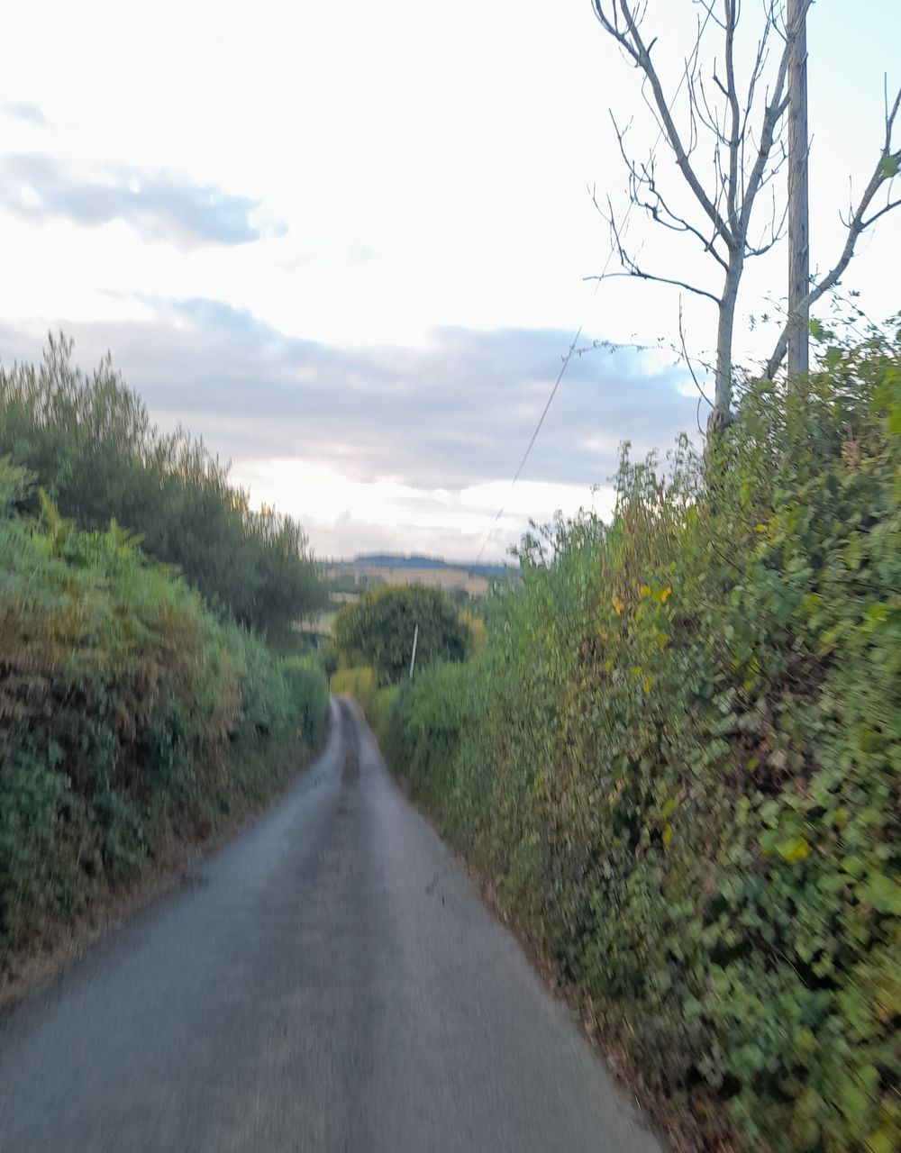 image 73
