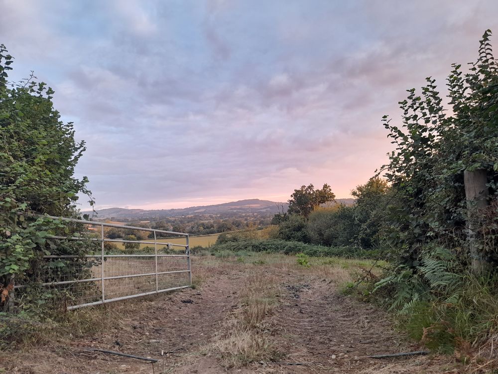 image 93