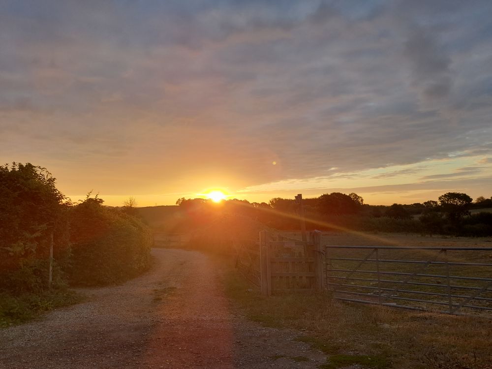 image 94