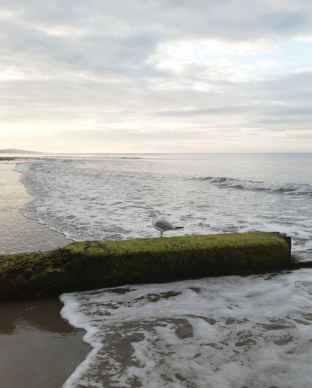 image 105