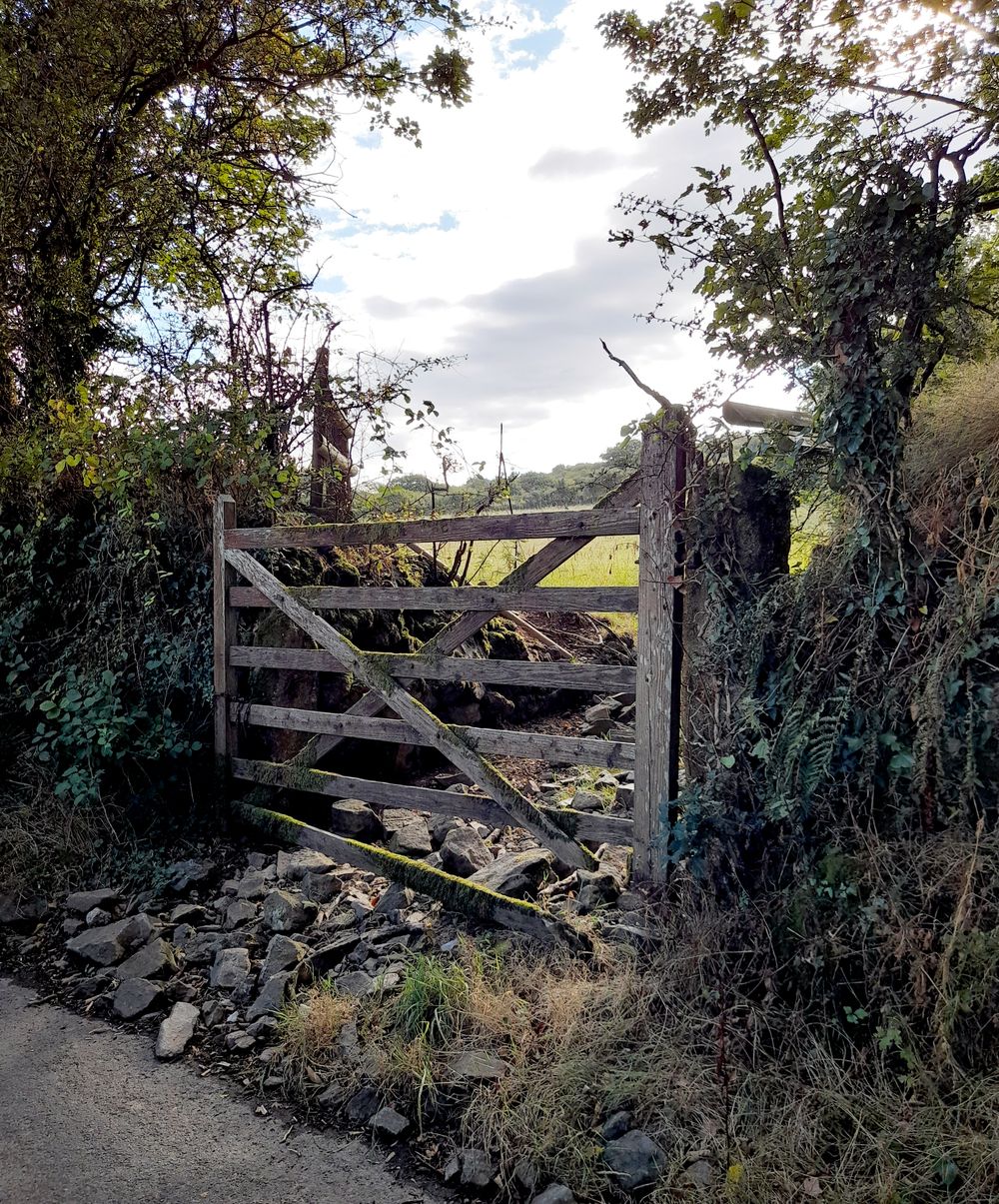 image 109