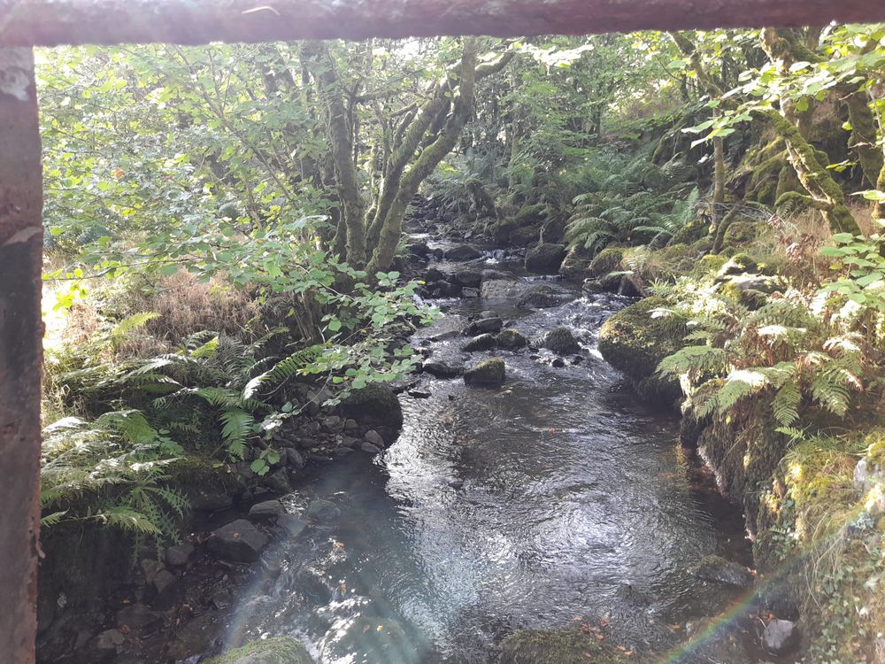 image 113