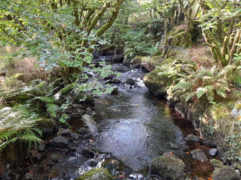 image 114