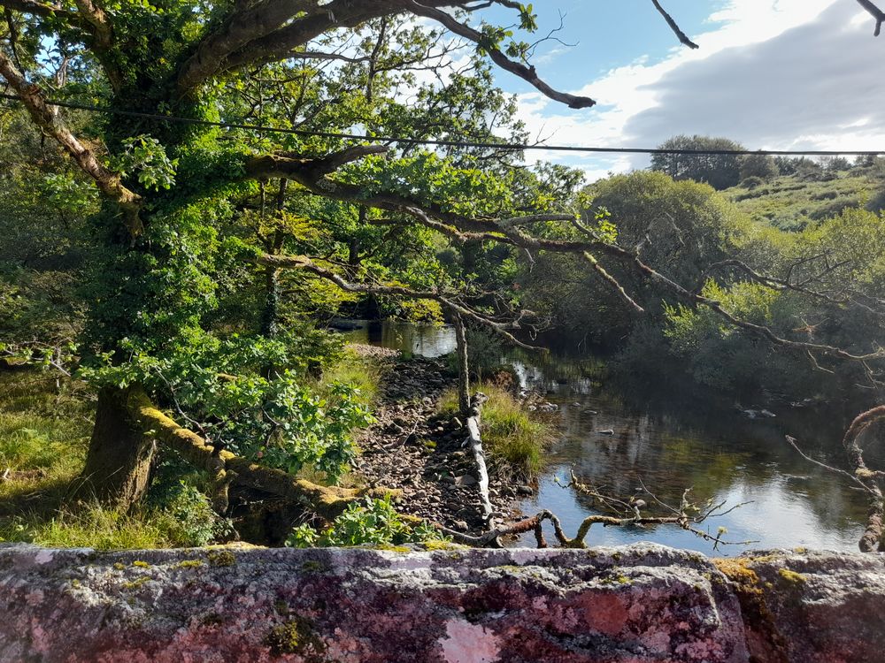 image 115