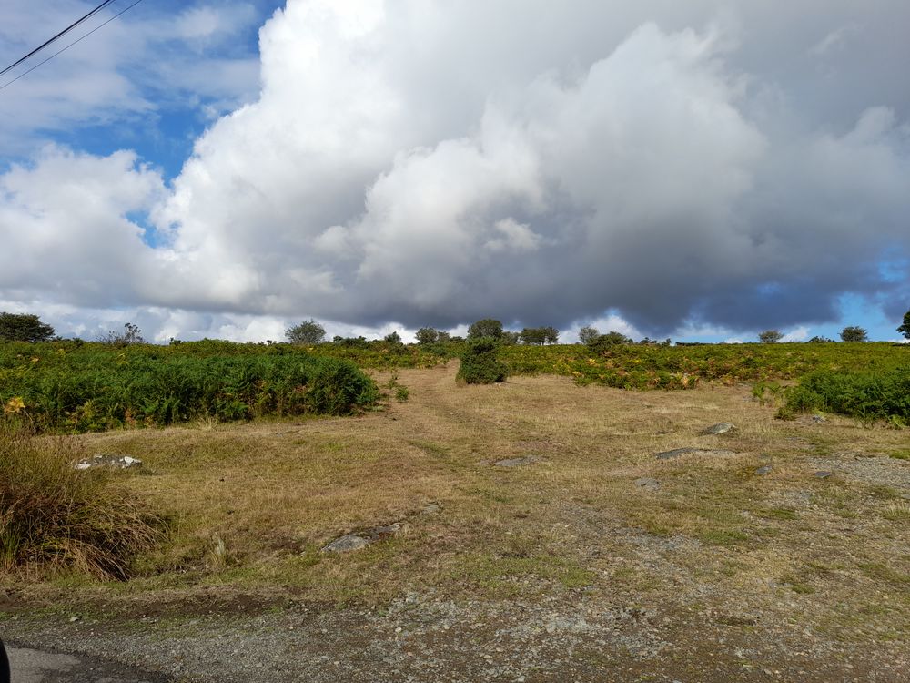 image 116