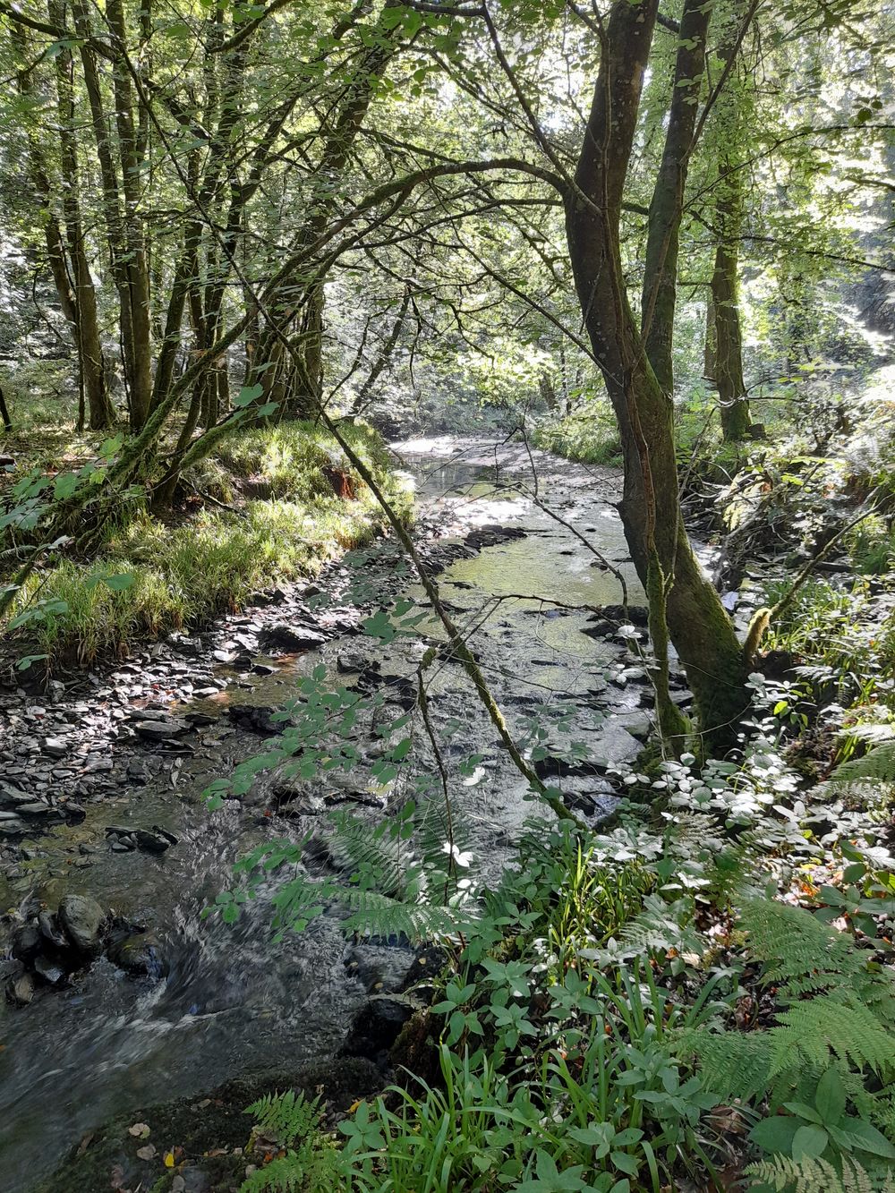 image 123
