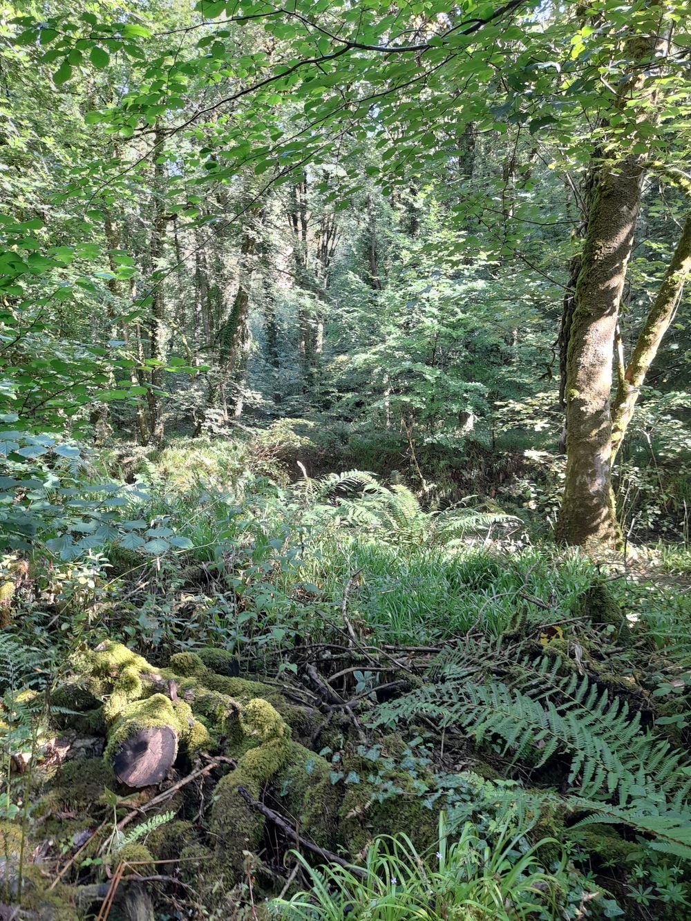 image 125