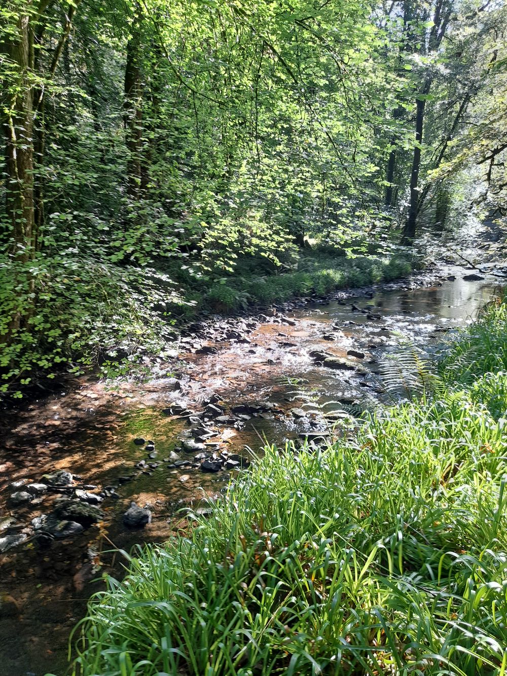image 126
